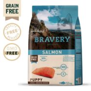 Bravery Salmon Puppy Dog Medium Large