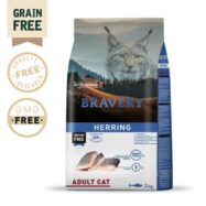 Bravery Herring Adult cat