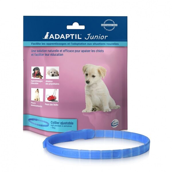 ADAPTIL Junior coleira anti-stress é uma excelente solução para confortar cachorros recentemente adotados e para facilitar a sua educação.