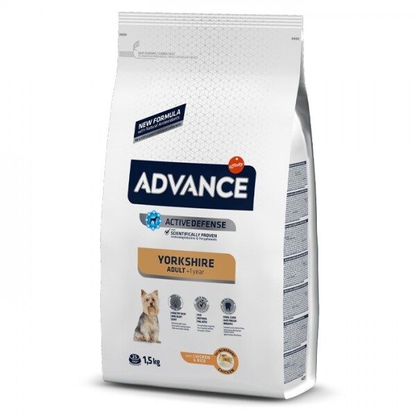 Advance Yorkshire Cão Adulto