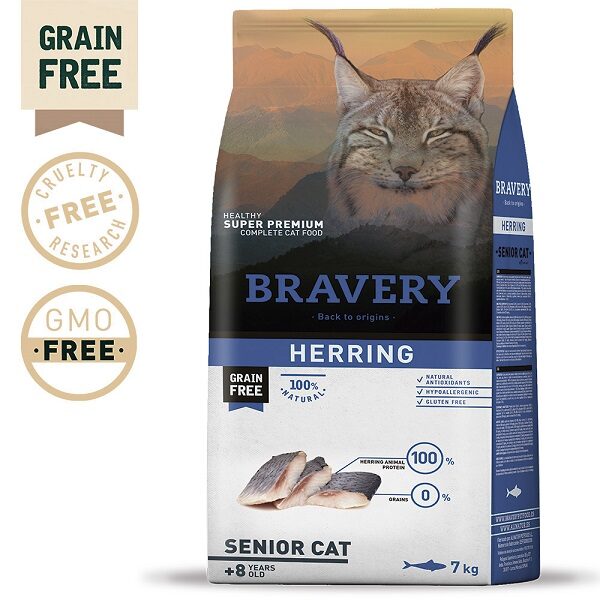 BRAVERY HERRING SENIOR CAT