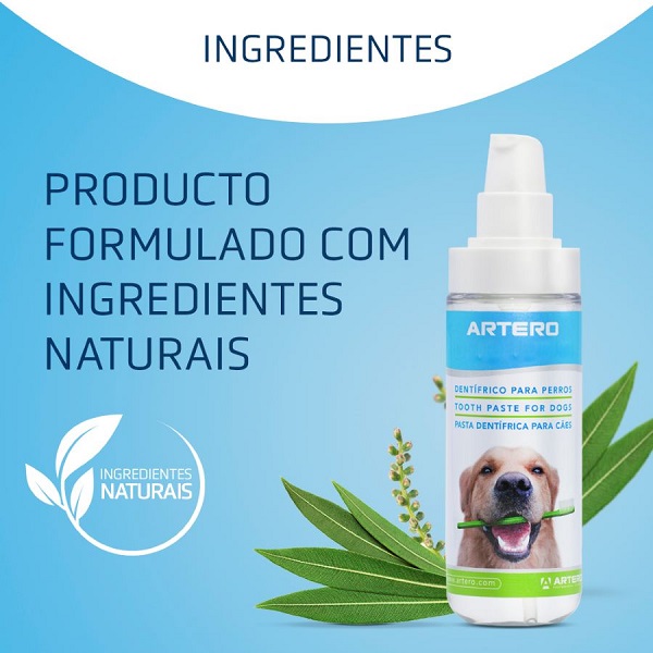 04_ingredientes_h696_pt