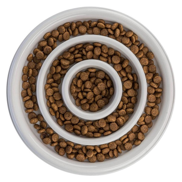 TX25029_2.jpg-1032x1032-maiapet