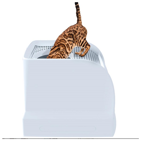 IM821_1.jpg-1032x1032